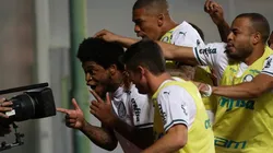 (Foto: Cesar Greco/Palmeiras/Divulgação)