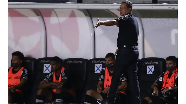Vanderlei Luxemburgo à beira do gramado no jogo contra o Botafogo