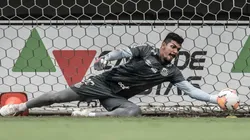 Foto: Ivan Storti/Santos FC