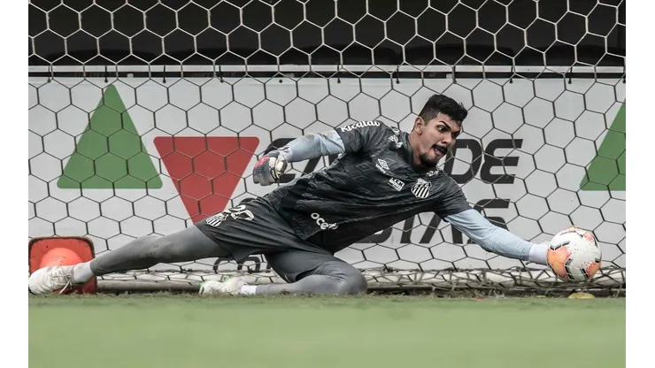 Foto: Ivan Storti/Santos FC