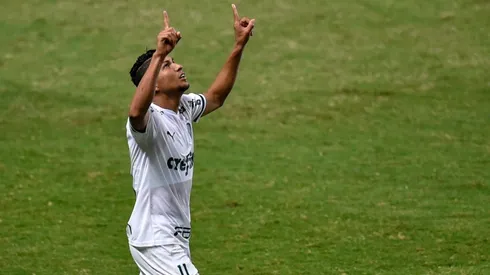 O duelo entre Sport x Palmeiras ficou marcado por um pênalti anulado a favor do Leão, após toque no braço de Rony