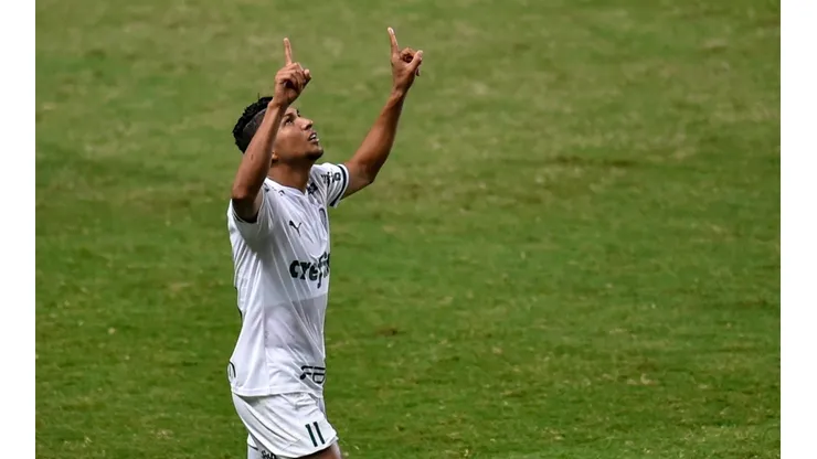 O duelo entre Sport x Palmeiras ficou marcado por um pênalti anulado a favor do Leão, após toque no braço de Rony