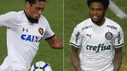 Sport x Palmeiras se enfrentam hoje (09), na Ilha do Retiro, pelo Brasileirão