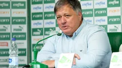Fabio Menotti / Ag. Palmeiras