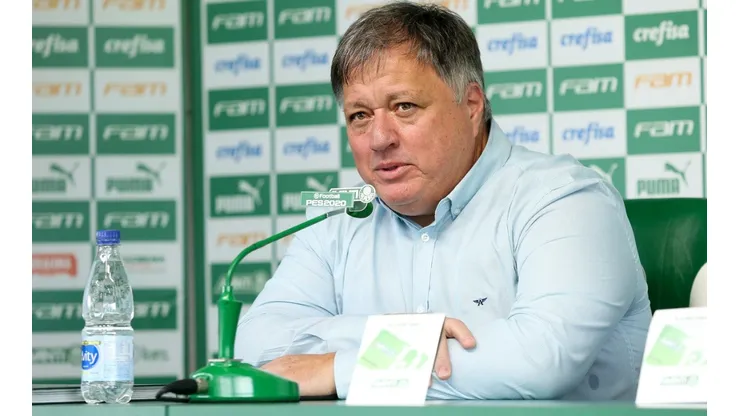 Fabio Menotti / Ag. Palmeiras