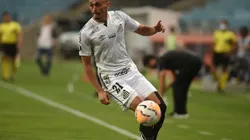 Foto: Ivan Storti/Santos FC/Divulgação