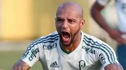 Foto: César Greco/Palmeiras