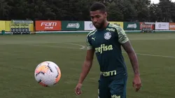 Wesley voltou a realizar atividades no campo após a cirurgia - Foto: Cesar Greco/SEP.