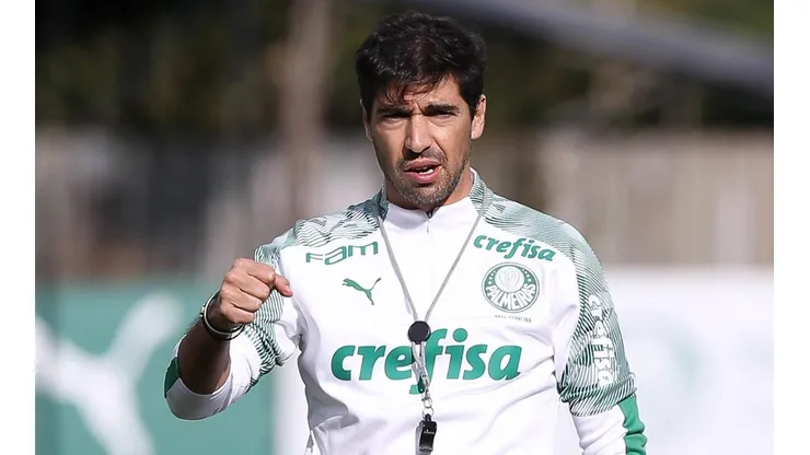 (Foto: Cesar Greco/Palmeiras)