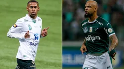 América-MG x Palmeiras se enfrentam pela semifinal da Copa do Brasil - (Getty Images)