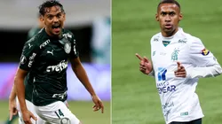 América-MG x Palmeiras se enfrentam nesta quarta, a partir das 21h30 pela Copa do Brasil - (Getty Images)