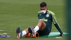 Foto: César Greco/Palmeiras