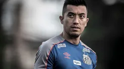 Foto: Ivan Storti/Santos FC