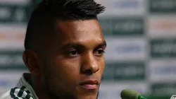 Foto: Divulgação/Palmeiras