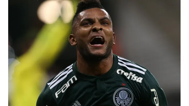 Divulgação/Palmeiras