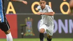 Foto: Ivan Storti/Santos FC/Divulgação