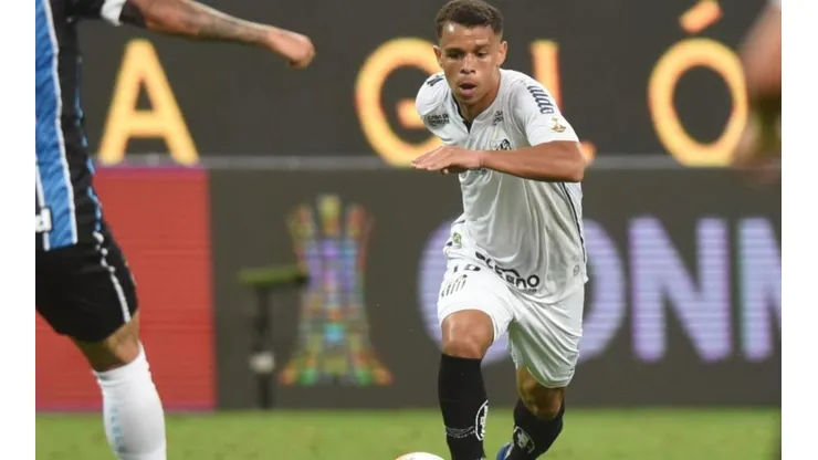 Foto: Ivan Storti/Santos FC/Divulgação