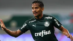 Scarpa revela motivo que quase o fez sair do Verdão em setembro