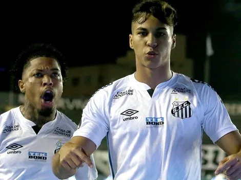 Santos x Grêmio: Kaio Jorge marca gol relâmpago e Marinho amplia para o Peixe; assista