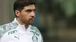 Abel se responsabiliza sobre Zé Rafael: “minha culpa, ele estava cheio de dores, ao utilizá-lo, o prejudiquei”