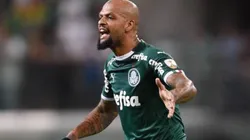Felipe Melo poderia pegar gancho de até 12 jogos. Divulgação