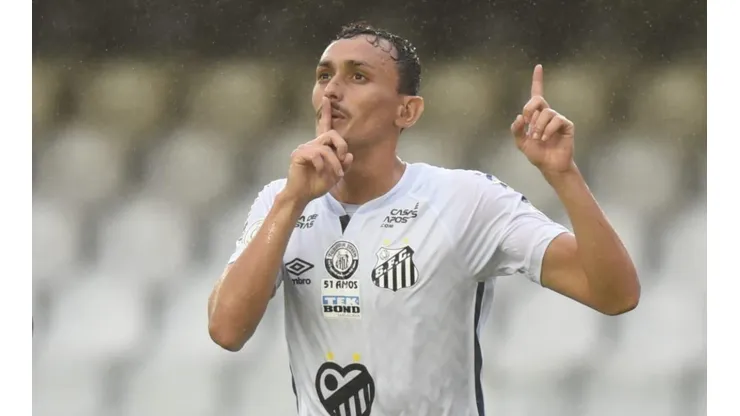 Foto: Ivan Storti/Santos FC