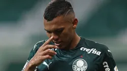 Veron pode ser negociado. Cesar Greco/Palmeiras