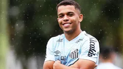Foto: Pedro Ernesto Guerra Azevedo/Santos FC