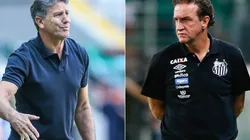 Pelas quartas de final da Libertadores, Grêmio x Santos duelam nesta quarta-feira, na Arena do Tricolor