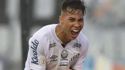 Foto: Ivan Storti/Santos FC/Divulgação