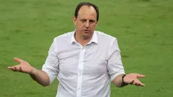 Ceni foca no Brasileirão — Foto: Alexandre Vidal / Flamengo