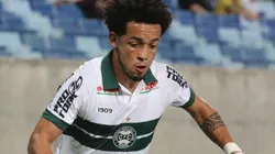 Divulgação/Coritiba