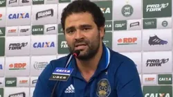 Samir decidiu pelo empréstimo do jogador. Divulgação
