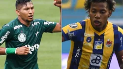 O Palmeiras recebe o Delfín no Allianz Parque nesta quarta-feira (02), pela Libertadores