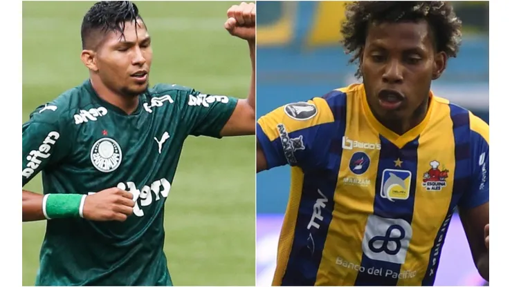 O Palmeiras recebe o Delfín no Allianz Parque nesta quarta-feira (02), pela Libertadores