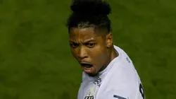 Marinho perde as estribeiras e xinga jornalista: "Tu é um babaca"