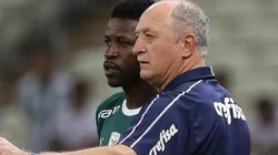 Foto: Divulgação/Palmeiras