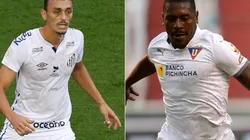 O Santos encara a LDU na Vila Belmiro nesta terça-feira (01), pela Libertadores