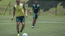 Com 77% de chance de ser rebaixado, Coritiba busca refúgio estratégico