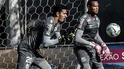 Foto: Ivan Stoti/Santos FC/Divulgação