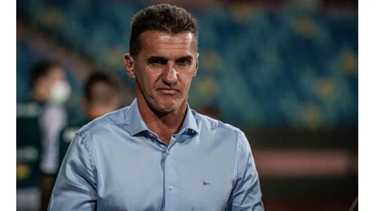 Mancini ganha reforço, Divulgação