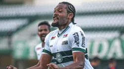 Foto: Coritiba