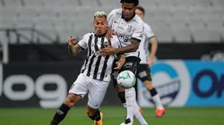 Foto: Pedro Souza / Agência Galo / Atlético / Divulgação