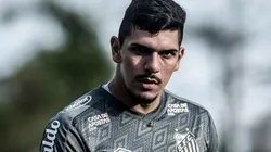 Foto: Ivan Storti/Santos FC/Divulgação