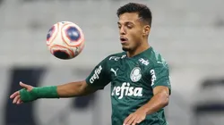 Menino vira reforço do Palmeiras contra o Goiás