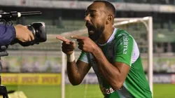 Dalberto: reforço do Leão (Foto: Arthur Dallegrave/EC Juventude/Divulgação)