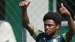 Luiz Adriano deve voltar. Cesar Greco/Palmeiras