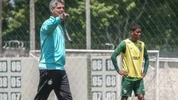 Foto: Divulgação/Coritiba