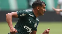 Scarpa força Abel a mudar planos de reforços no Palmeiras; Tite é colocado na conversa