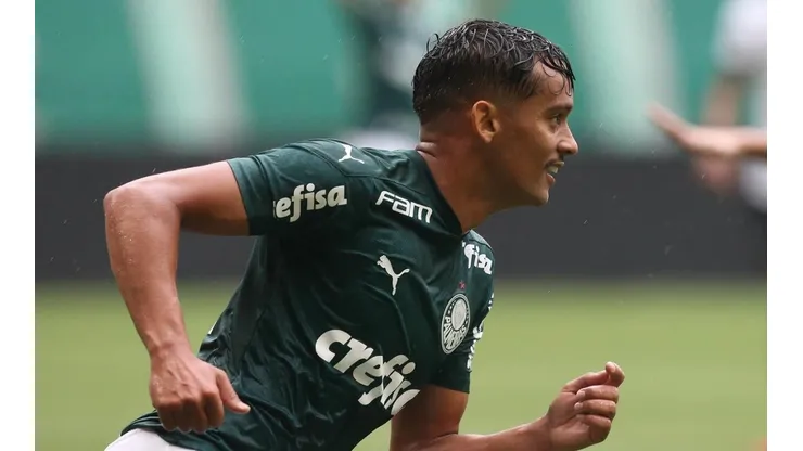 Scarpa força Abel a mudar planos de reforços no Palmeiras; Tite é colocado na conversa